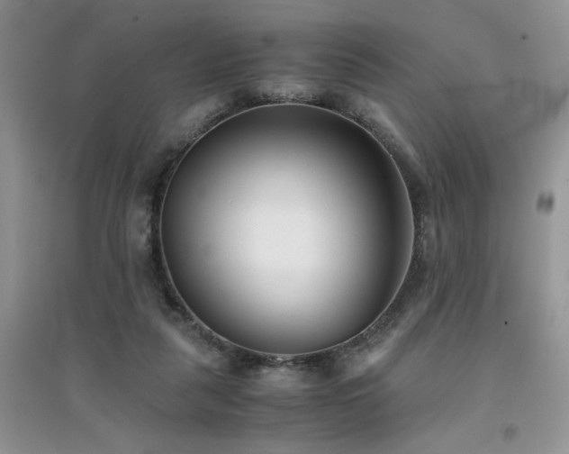 X0000094970259200711291510
