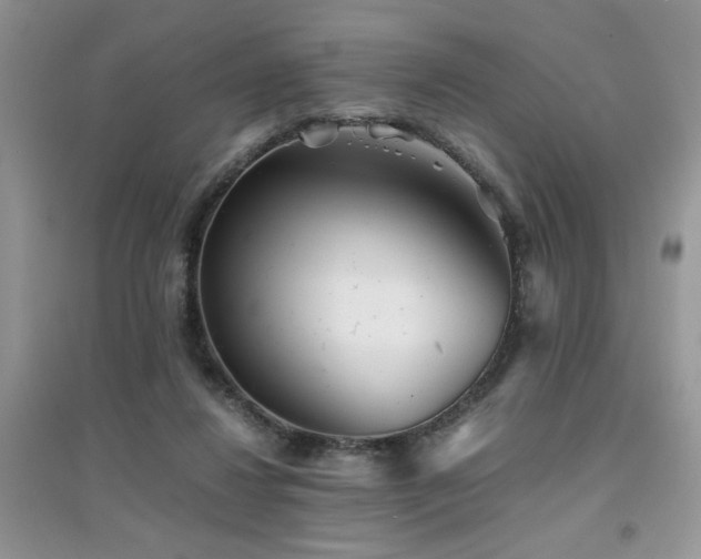 X0000094970260200711291510