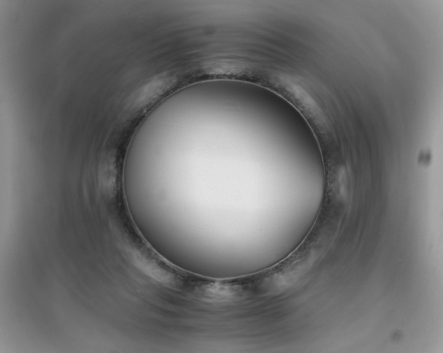 X0000094970261200711291510