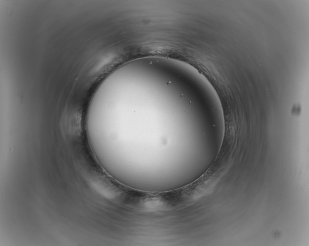 X0000094970262200711291510
