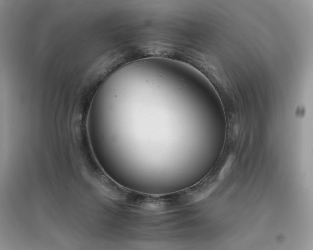 X0000094970263200711291510