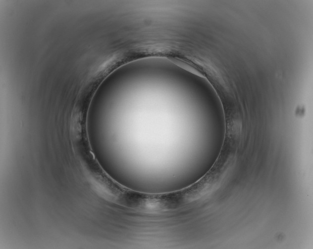 X0000094970264200711291510