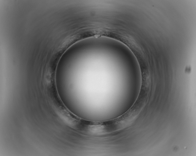 X0000094970266200711291510
