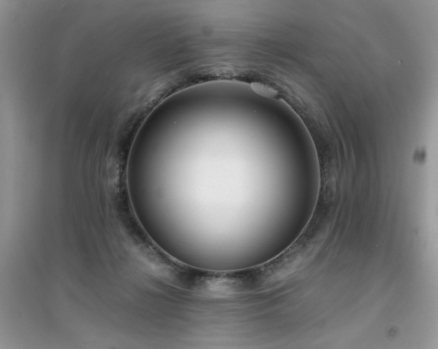 X0000094970268200711291510