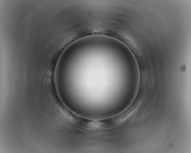 X0000094970269200711291510