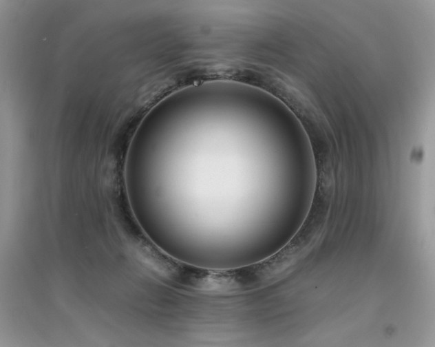 X0000094970270200711291510