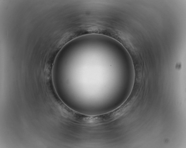X0000094970273200711291510