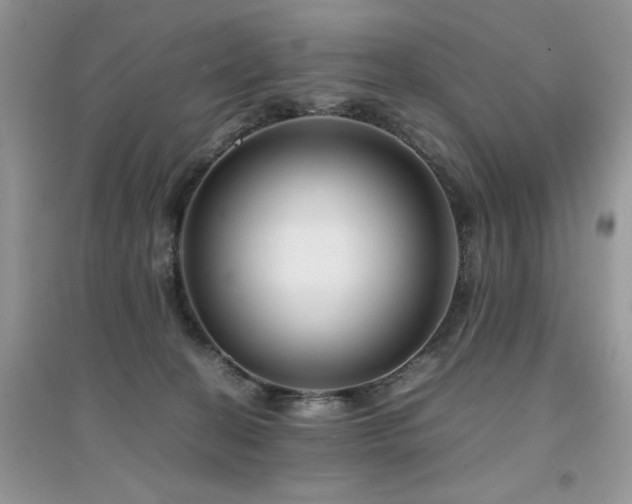 X0000094970274200711291510