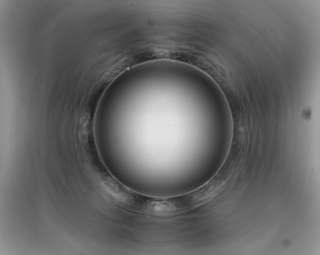 X0000094970275200711291510