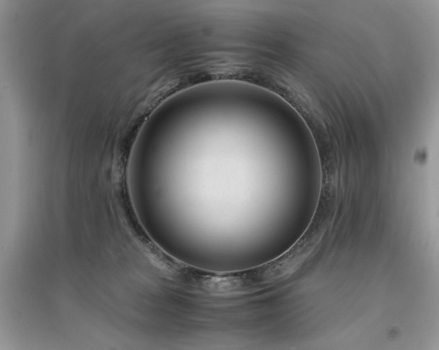 X0000094970277200711291510