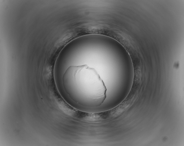 X0000094970278200711291511