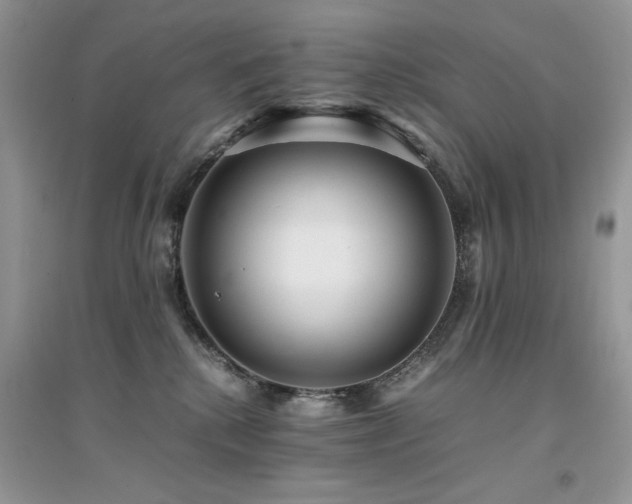 X0000094970280200711291511