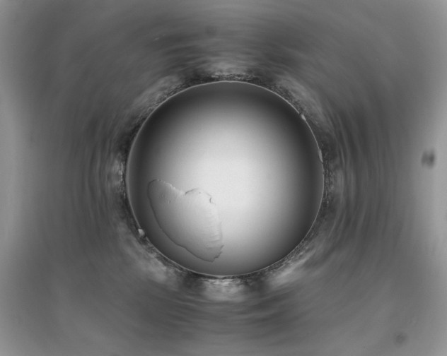 X0000094970281200711291511
