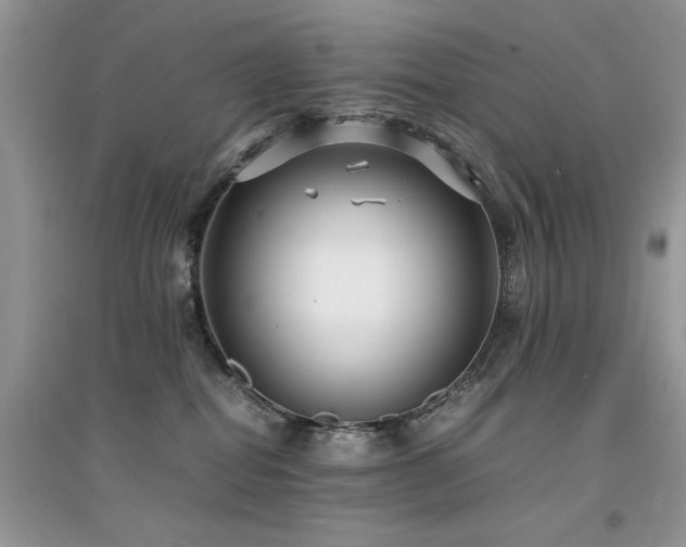 X0000094970282200711291511