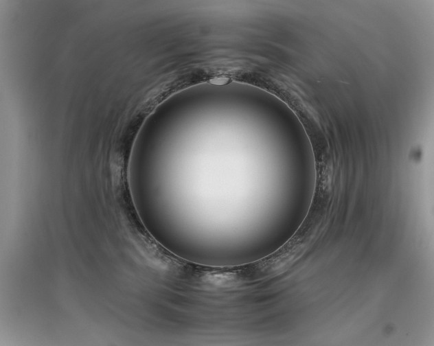 X0000094970283200711291511