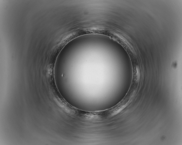 X0000094970284200711291511
