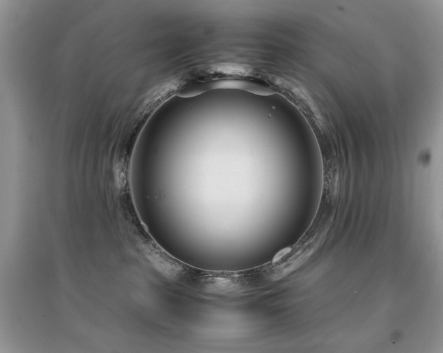 X0000094970285200711291511
