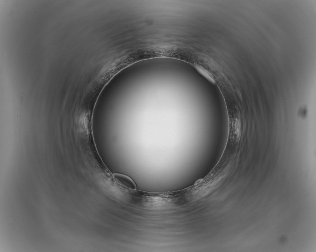 X0000094970286200711291511