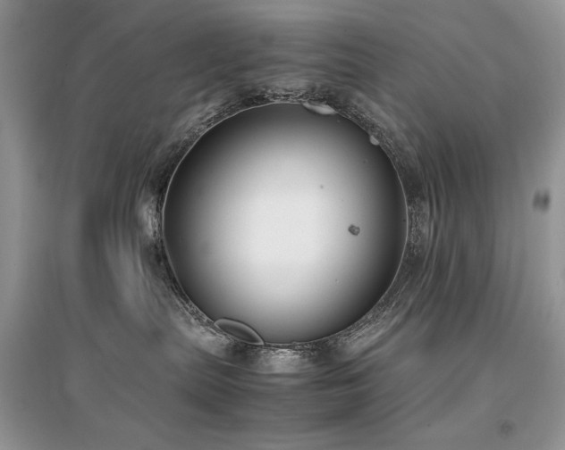 X0000094970287200711291511