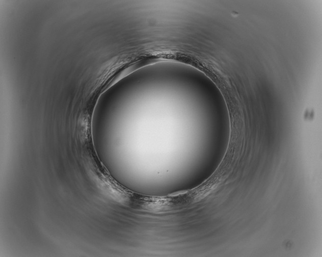 X0000094970288200711291511