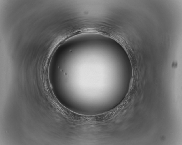 X0000094970289200711291510