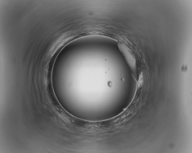 X0000094970291200711291510