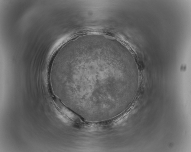 X0000094970293200711291510