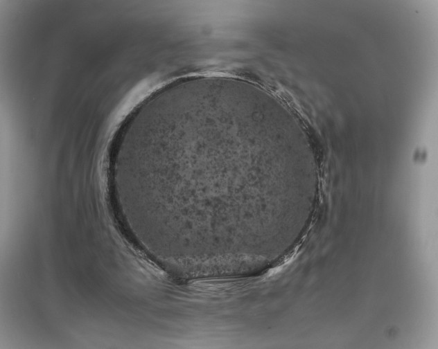 X0000094970295200711291510