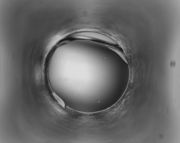 X0000094970296200711291510