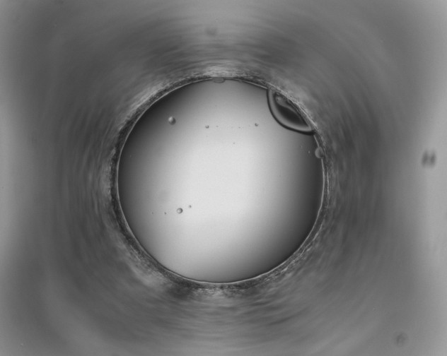 X0000094970297200711291510