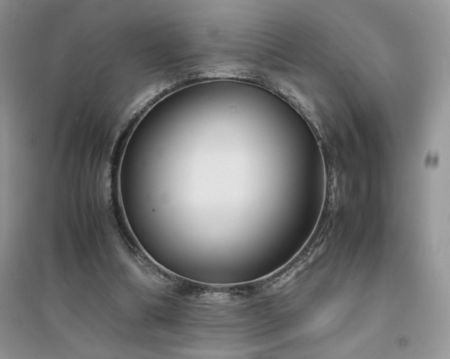 X0000094970298200711291510