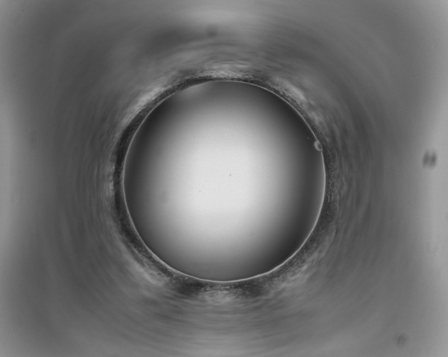 X0000094970299200711291510