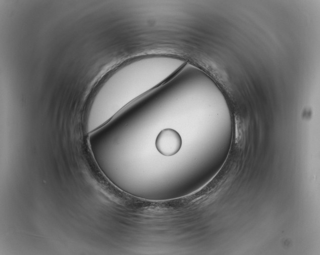 X0000094970300200711291510