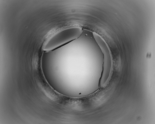 X0000094970304200711291510