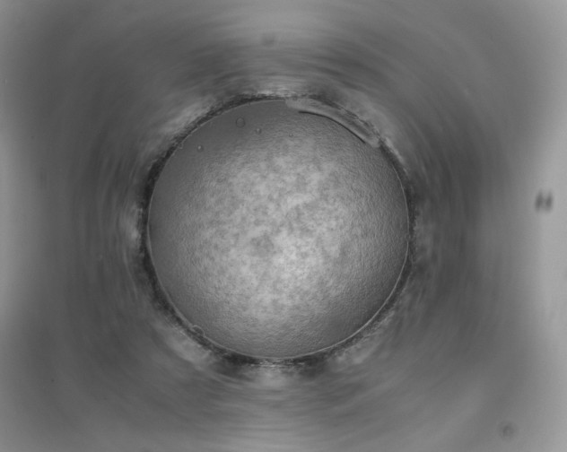 X0000094970305200711291510