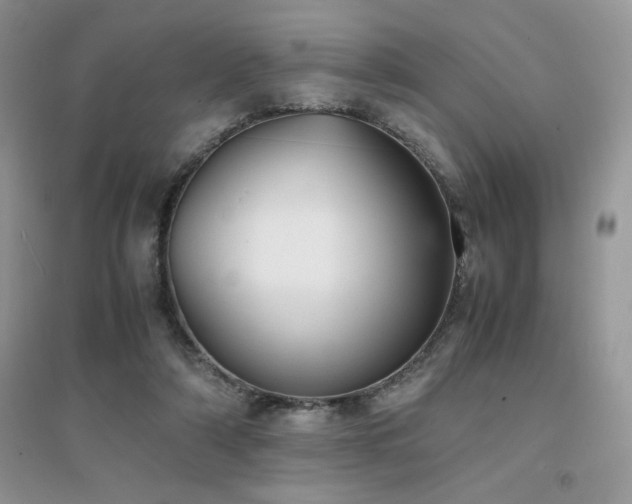 X0000094970306200711291510