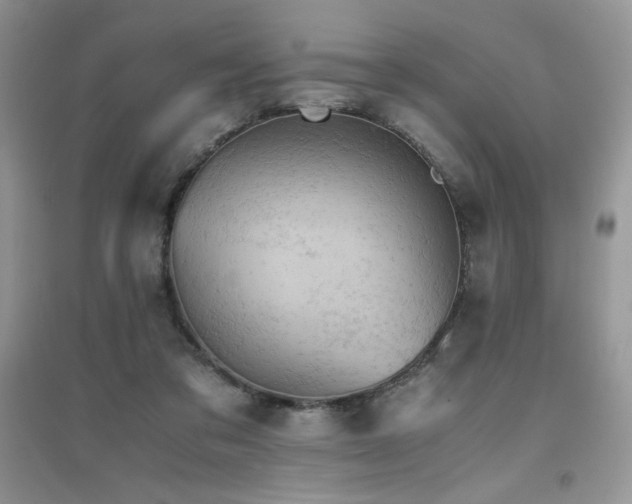 X0000094970309200711291510