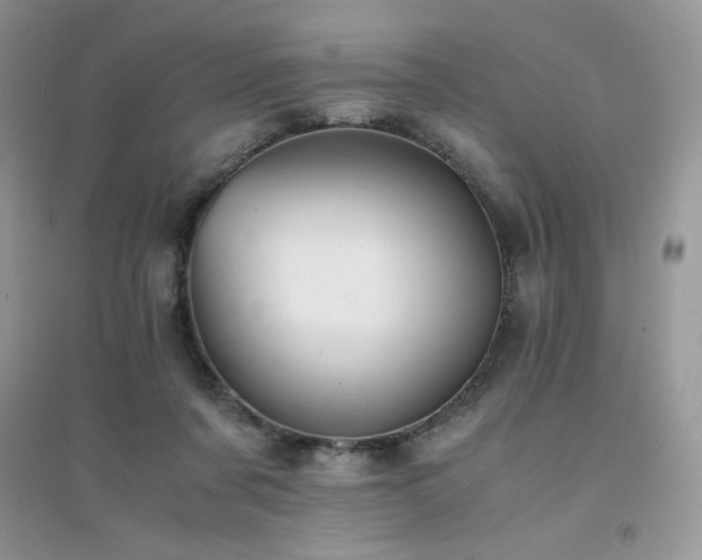 X0000094970311200711291509