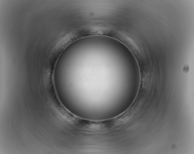 X0000094970314200711291509