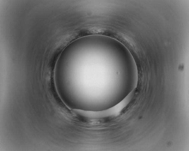 X0000094970315200711291509