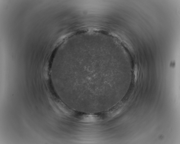 X0000094970316200711291509