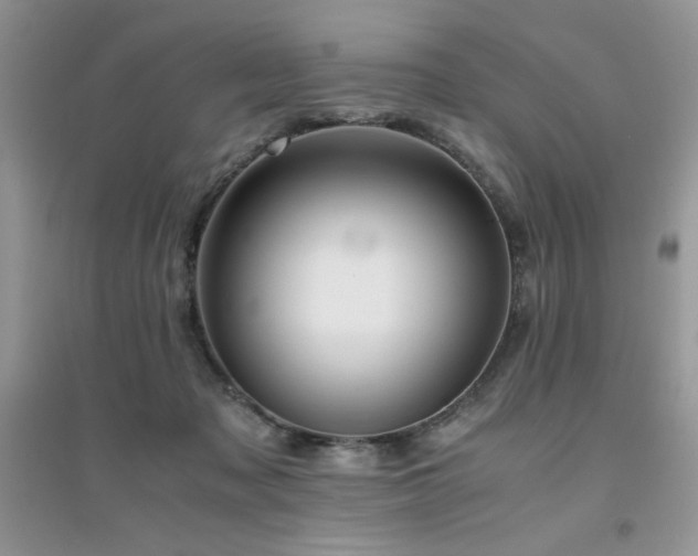 X0000094970317200711291509