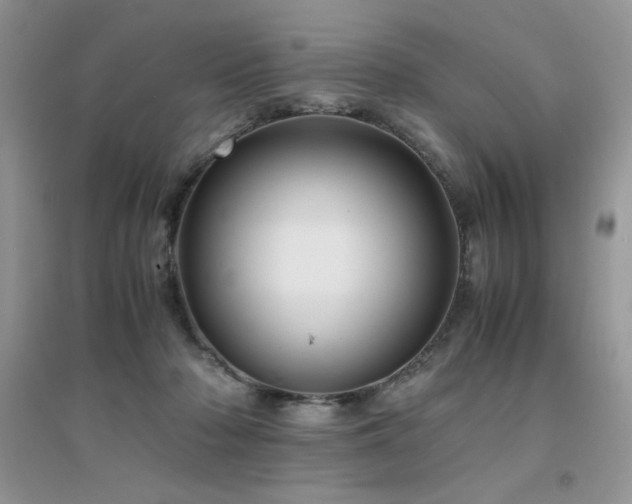 X0000094970318200711291509