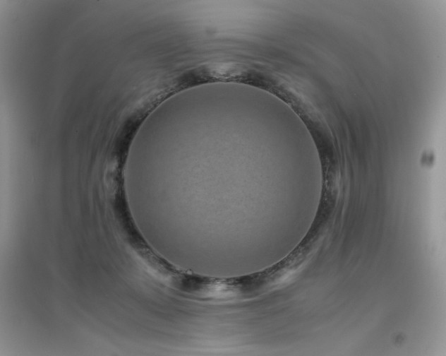 X0000094970319200711291509