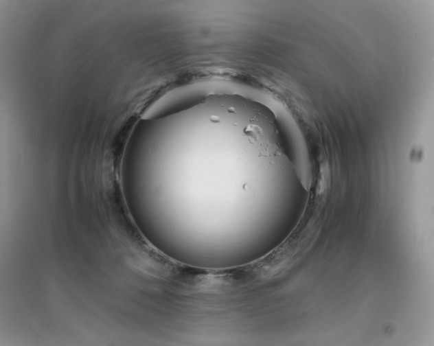 X0000094970320200711291509