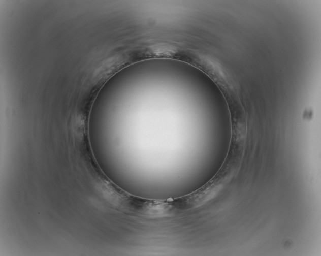 X0000094970321200711291509