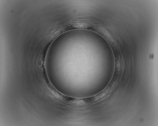 X0000094970322200711291509