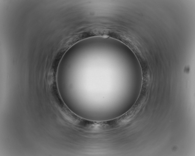 X0000094970323200711291509