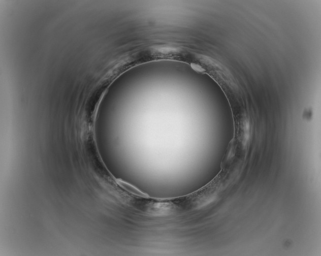 X0000094970324200711291509