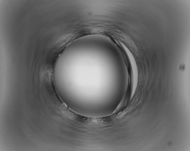 X0000094970329200711291509